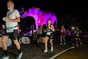 BIB: 
                            <button type="button" onclick="openModal(26534824)" class="btn btn-primary btn-sm float-right btn-popup" data-toggle="modal" data-target=".modal-high-quality">
                        <i class="fas fa-shopping-cart"></i> Add to Cart
                    </button>
                                            <button type="button" onclick="isThisMe(26534824, true)" class="btn btn-success btn-sm float-right btn-popup btn-isme hidden" data-toggle="tooltip" data-placement="bottom" title="นี่คือรูปของคุณใช่ไหม คลิกที่นี่เพื่อเอาเข้าอัลบั้ม">
                        <i class="fas fa-plus"></i> Add to album
                    </button>
                    <button type="button" onclick="isThisMe(26534824, false)" class="btn btn-warning btn-sm float-right btn-popup btn-isnotme hidden">
                        <i class="fas fa-ban"></i> Remove from album
                    </button>